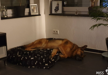 März 2019