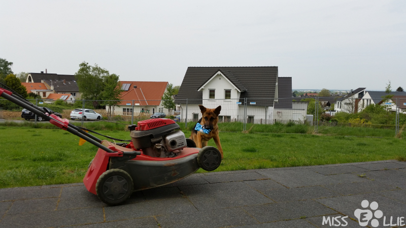 02/05/2015 15:06 | Attacke