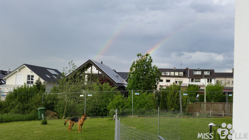 09/05/2015 18:48 | Rainbow