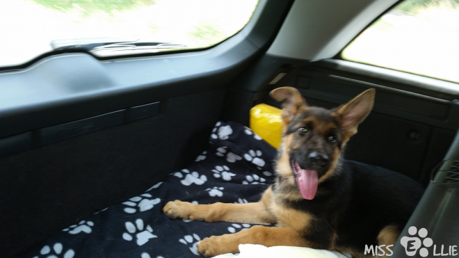 Drivin' home