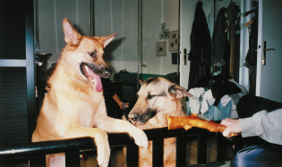 Sellie 2001
