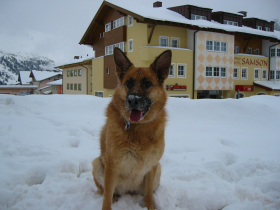 Sellie 2005
