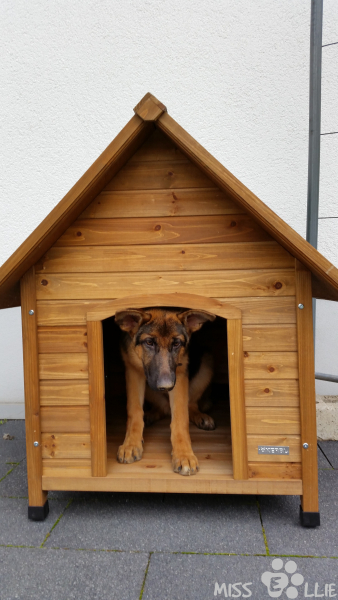 02/09/2014 17:29 My home is my castle