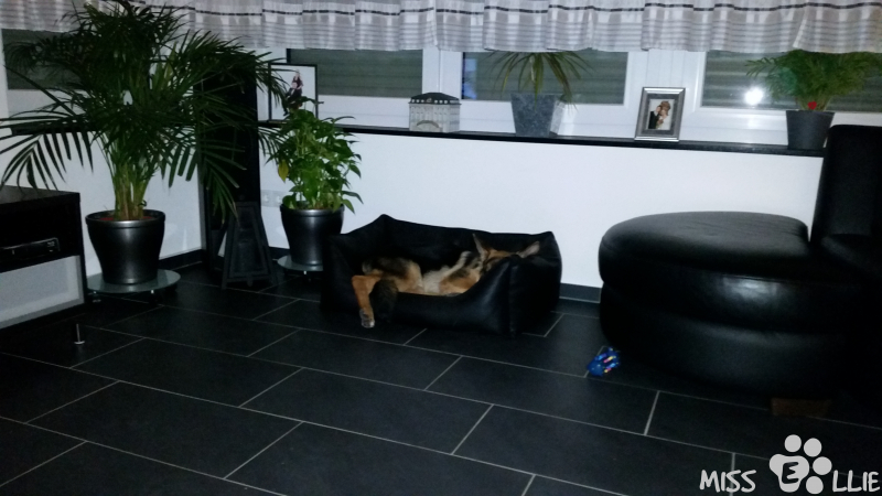 07/09/2014 22:10 I'm too big for the sofa
