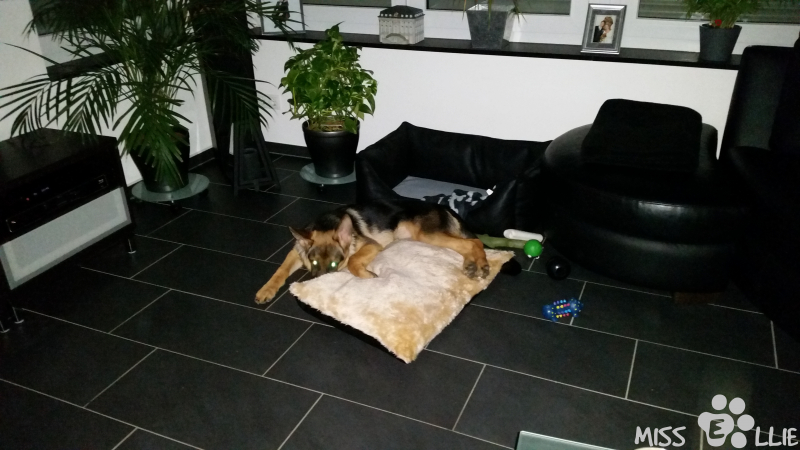 10/09/2014 22:46 Sofa too small