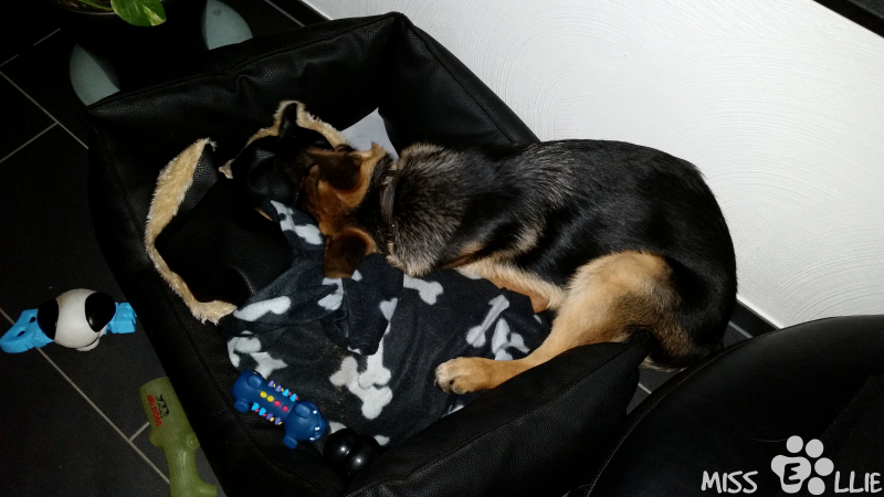 11/09/2014 21:35 Sofa's too small for my butt