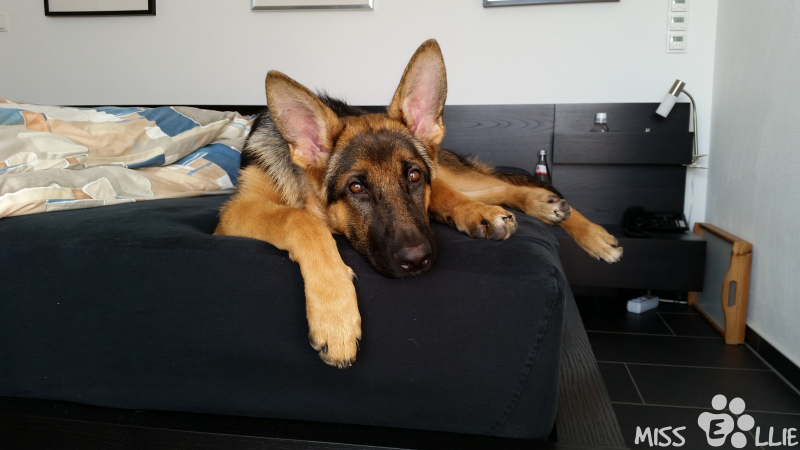 17/09/2014 09:09 Thanks for sharing your bed