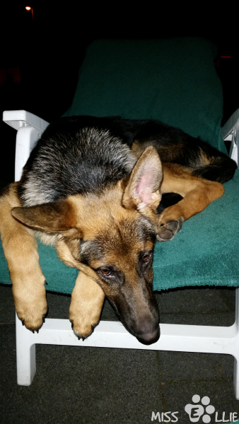 17/09/2014 20:40 Too big for the lounger