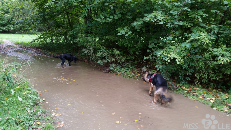 22/09/2014 12:55 Another mud bath with Elly