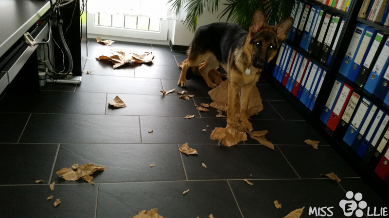 29/09/2014 17:21 It just exploded
