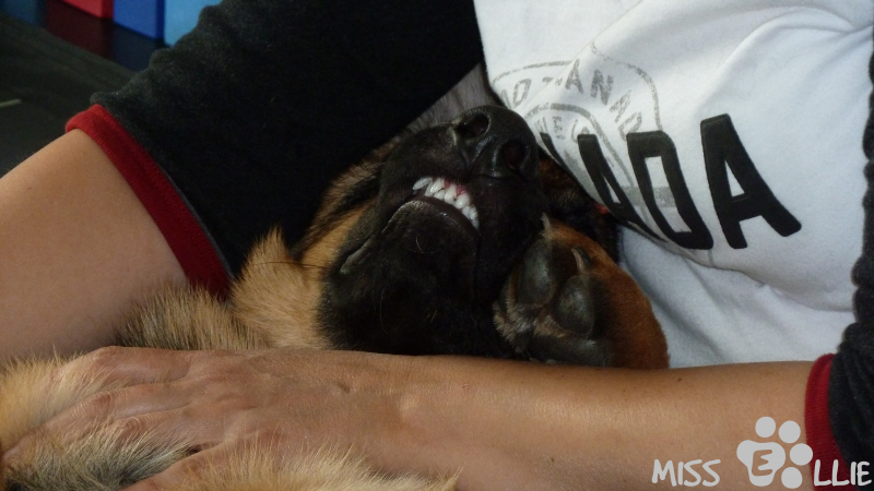 05/09/2014 15:10 Miss Rabbit Teeth