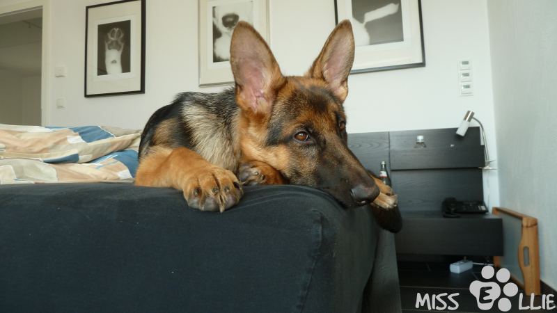 17/09/2014 09:04 Nice and cozy