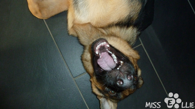 18/09/2014 16:51 Big teeth