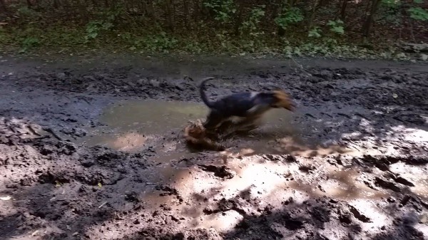 My first mud bath
