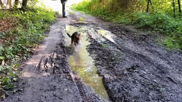 Water fun