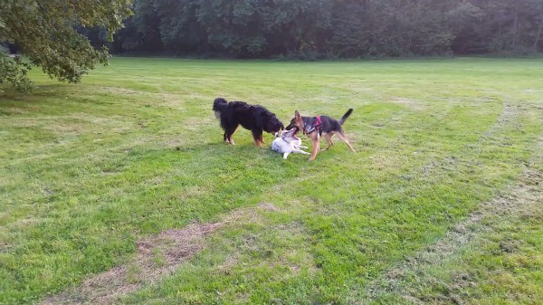 Play time