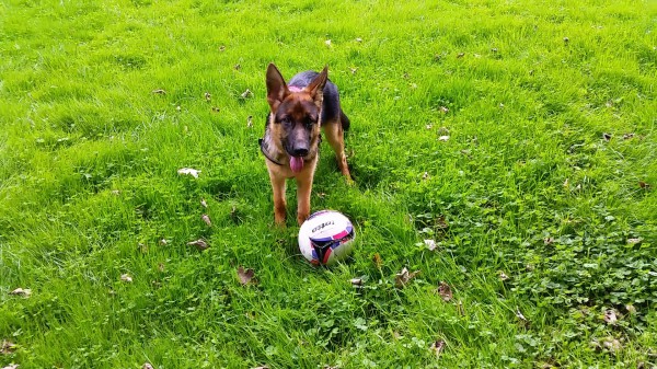 My new ball