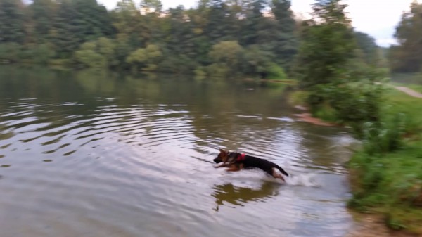 I can swim!