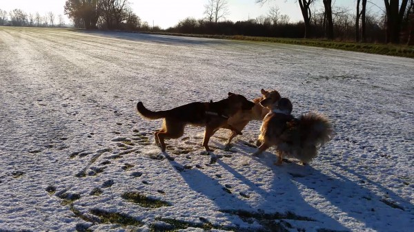 Endlich Schnee!