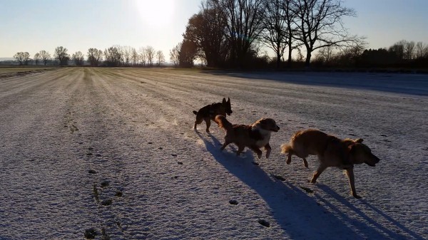 Endlich Schnee!