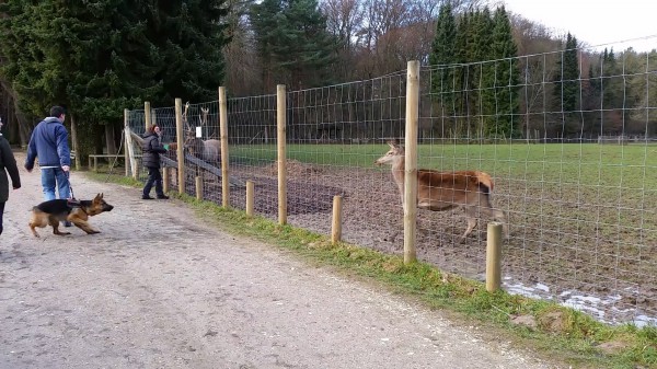 Attacke!