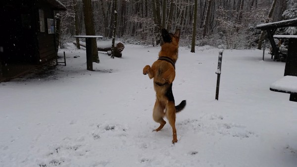 Jump !
