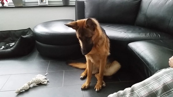 Bored Ellie
