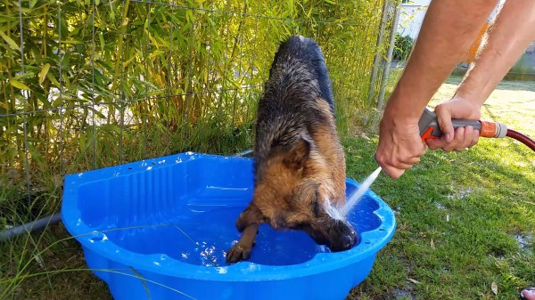 Trying to fill up the pool