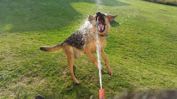 Mouth rinse