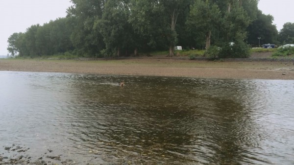 Gegenstromanlage