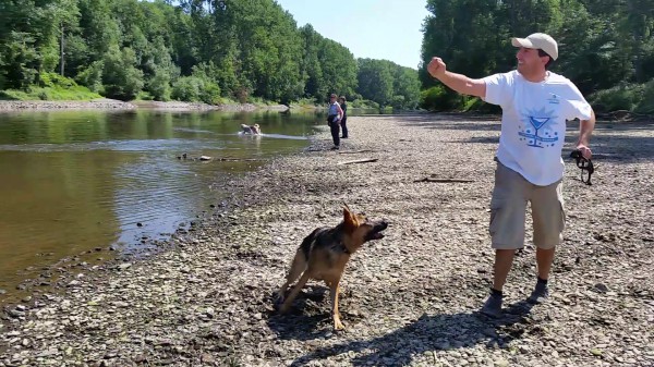 Wo ist das Stöckchen?