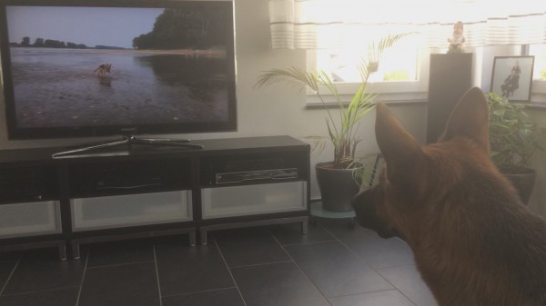Me & Myself watching video
