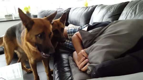 Wake up!