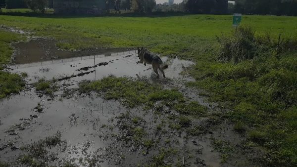 Else am Rhein