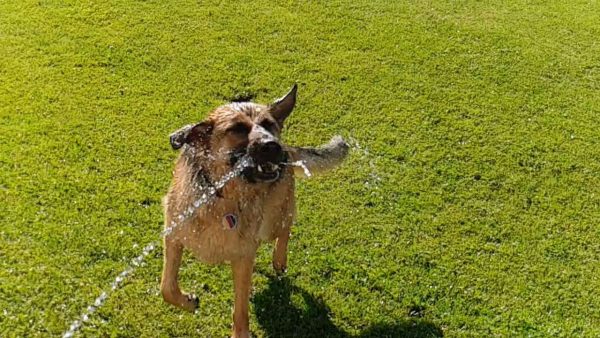 Summer fun