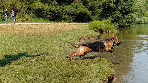 Slow Motion Ellie