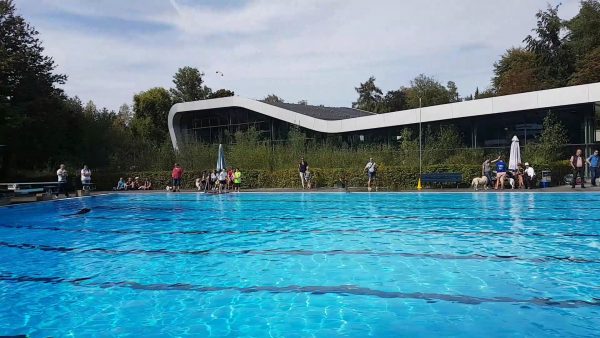 Hund im Freibad | LevDog
