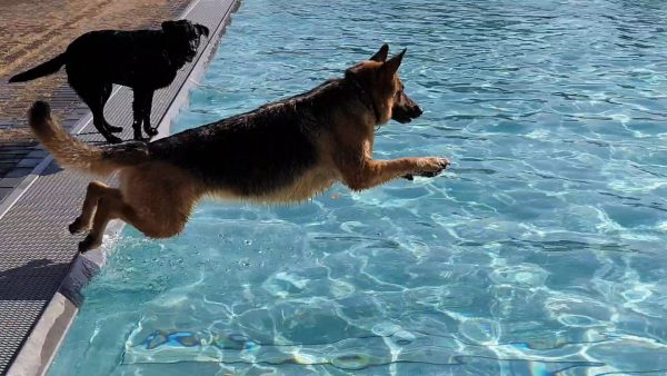 I can fly