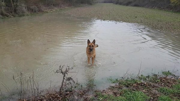 Wasserspiele