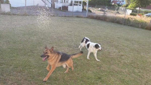 Wasserspiele mit Emil & Ellie